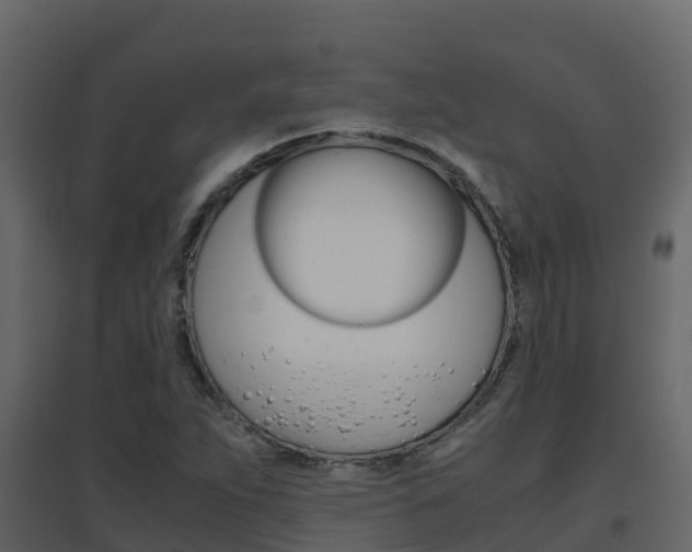 X0000096701263200802051053