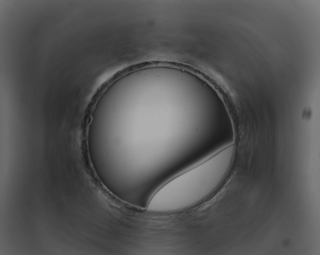 X0000096701264200802051053