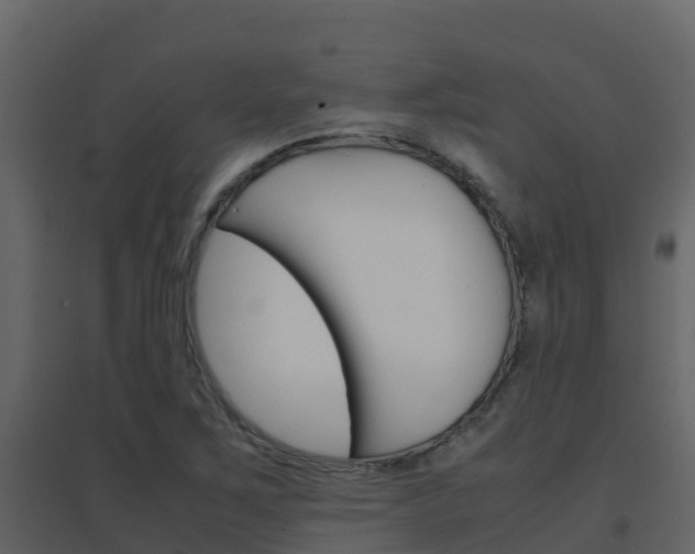 X0000096701267200802051052