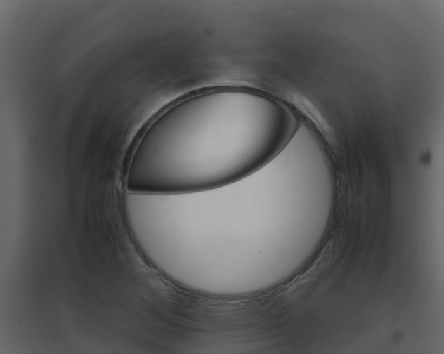 X0000096701268200802051052