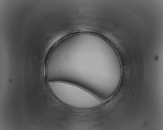X0000096701269200802051052