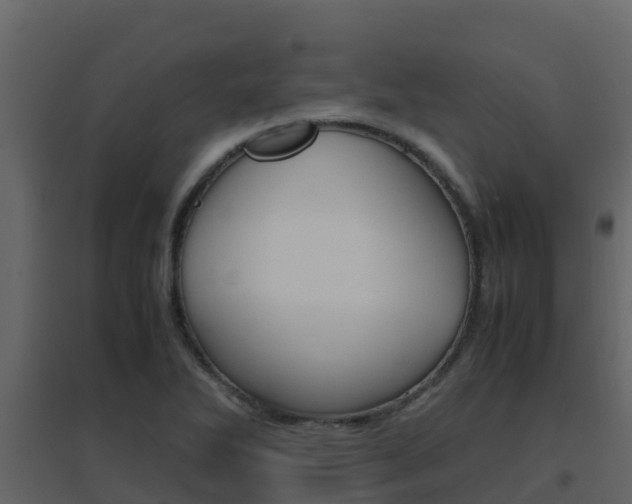 X0000096701270200802051052
