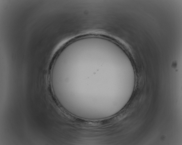 X0000096701271200802051052