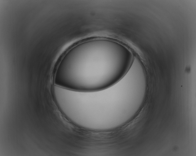 X0000096701272200802051052