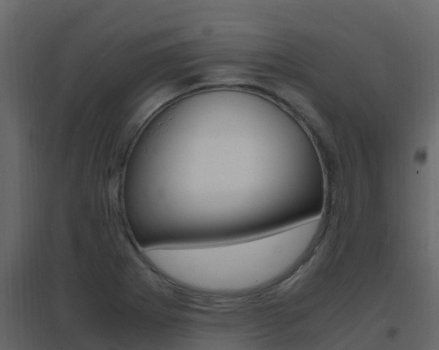 X0000096701273200802051052