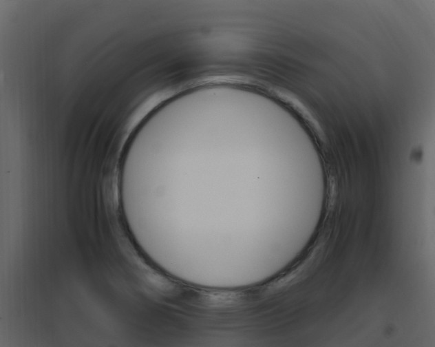 X0000096701274200802051052