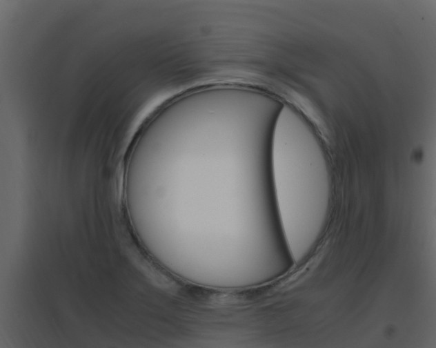 X0000096701275200802051052
