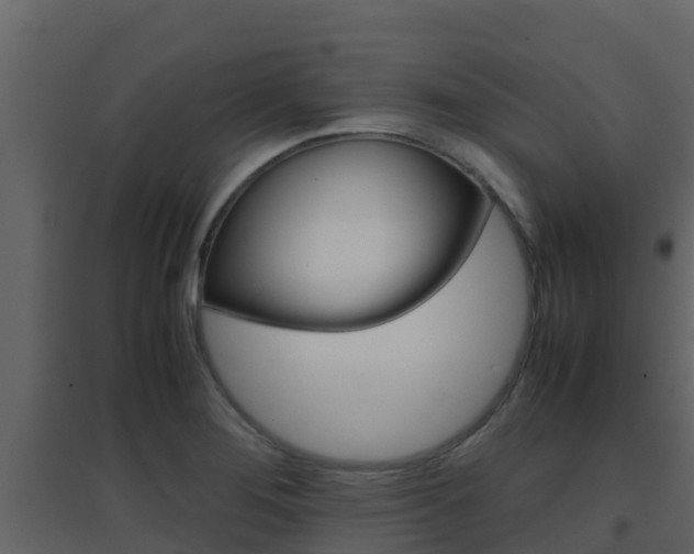 X0000096701276200802051052