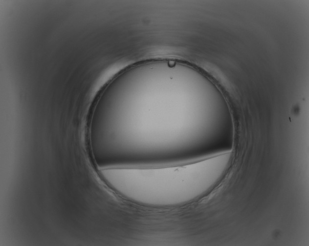 X0000096701277200802051052