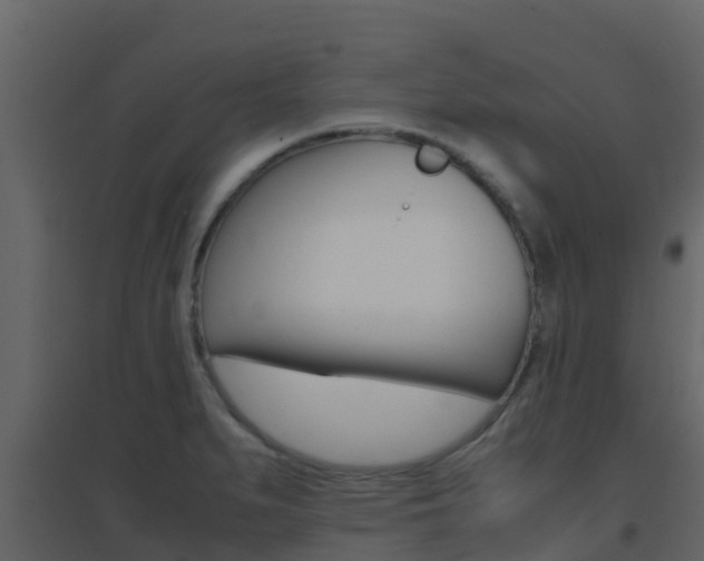 X0000096701279200802051052