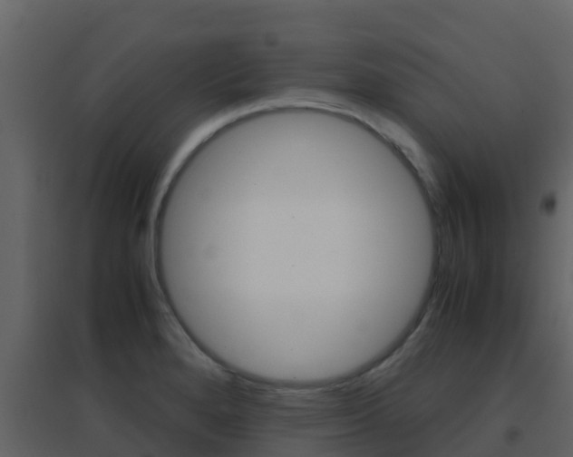 X0000096701280200802051052