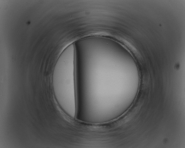 X0000096701281200802051052