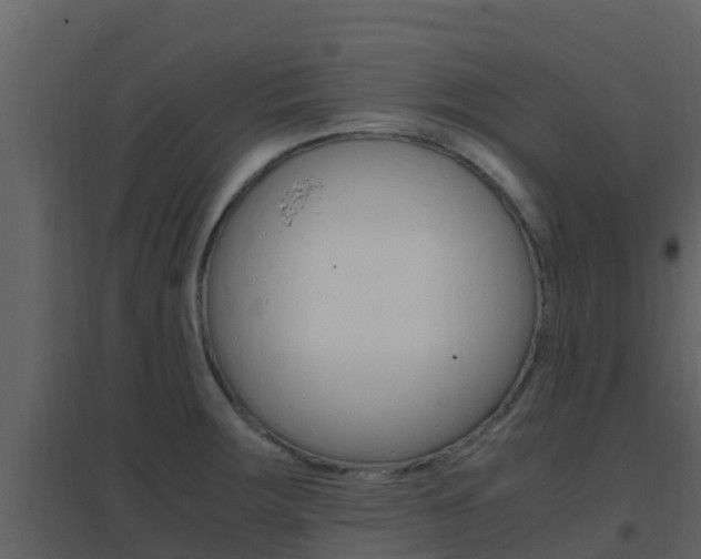 X0000096701283200802051052