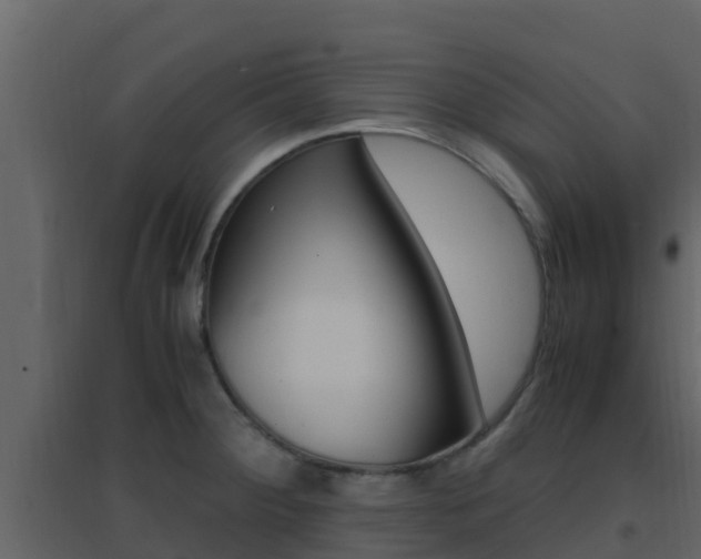 X0000096701284200802051052