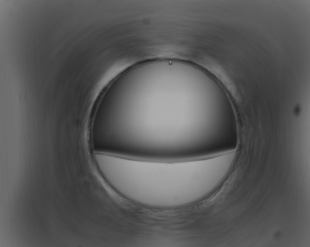 X0000096701285200802051052