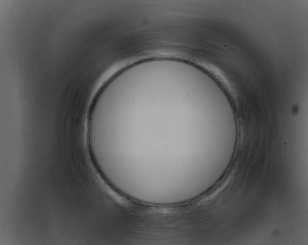 X0000096701286200802051052