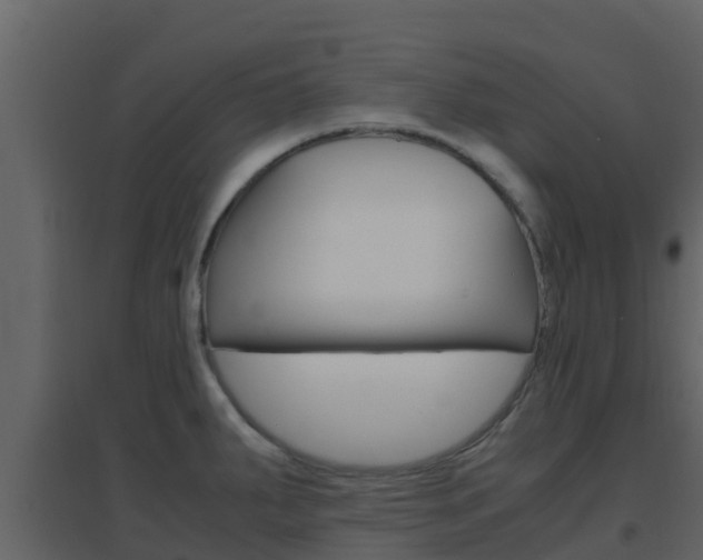 X0000096701287200802051052