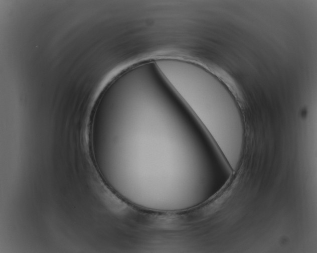X0000096701288200802051052