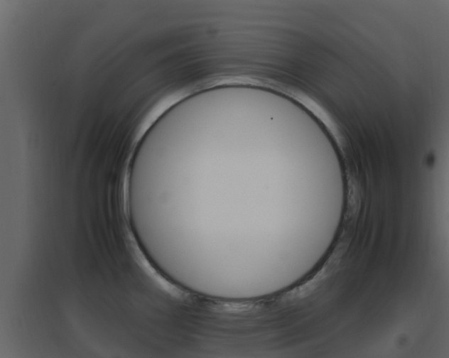 X0000096701290200802051052