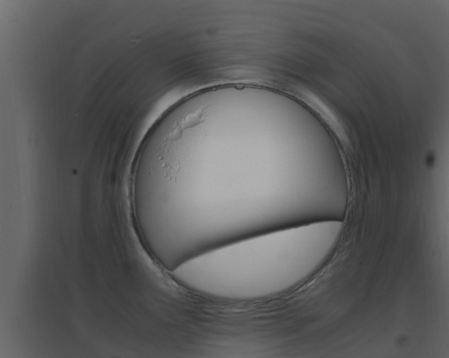 X0000096701291200802051052