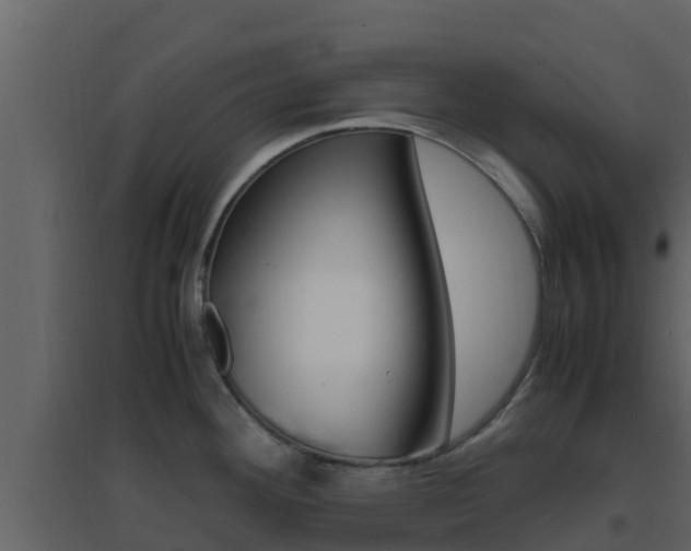 X0000096701292200802051052