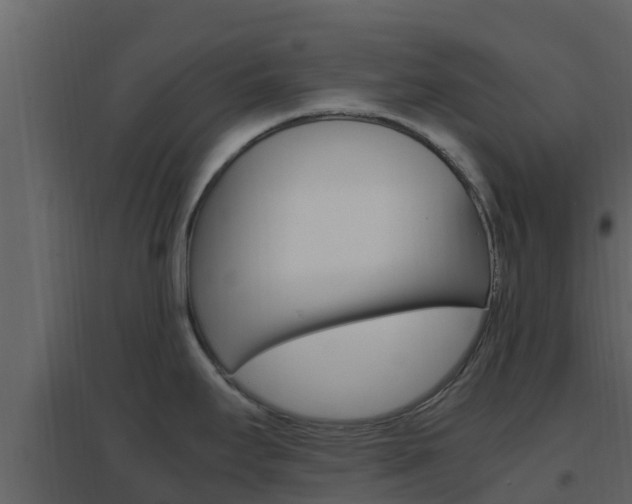 X0000096701295200802051052