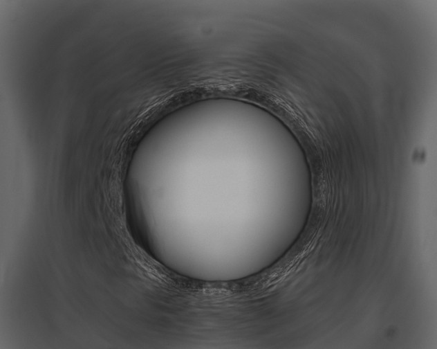 X0000096701297200802051051