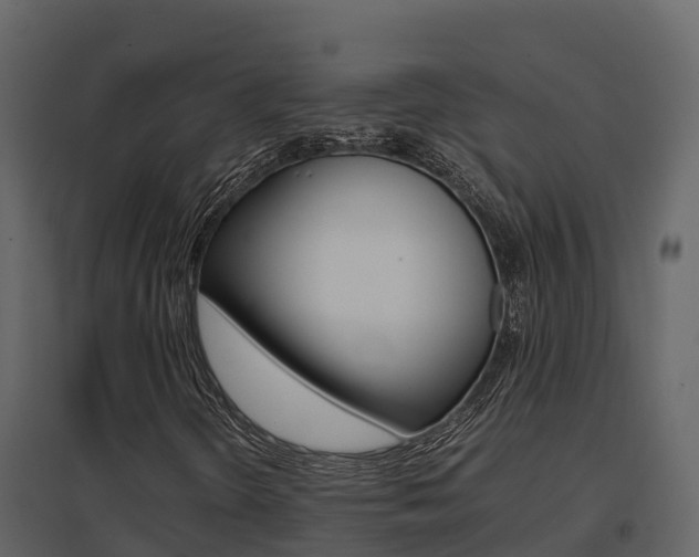 X0000096701298200802051051