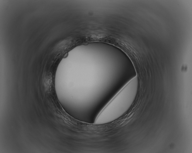 X0000096701299200802051051
