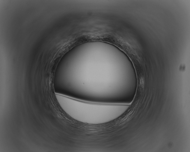 X0000096701300200802051051