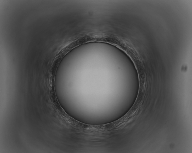 X0000096701301200802051051