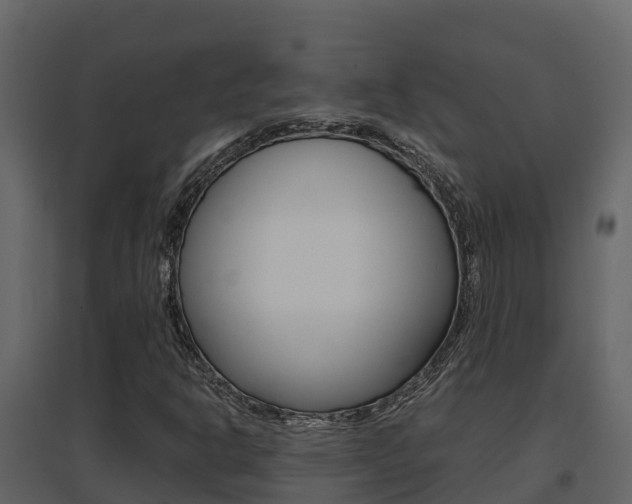 X0000096701302200802051051
