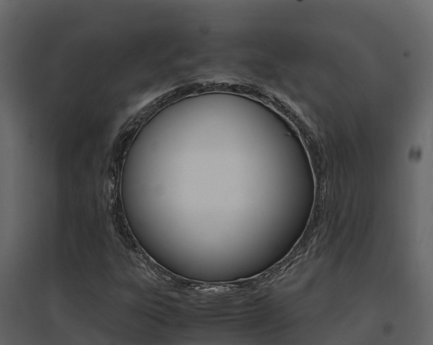 X0000096701303200802051051