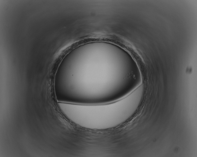 X0000096701304200802051052