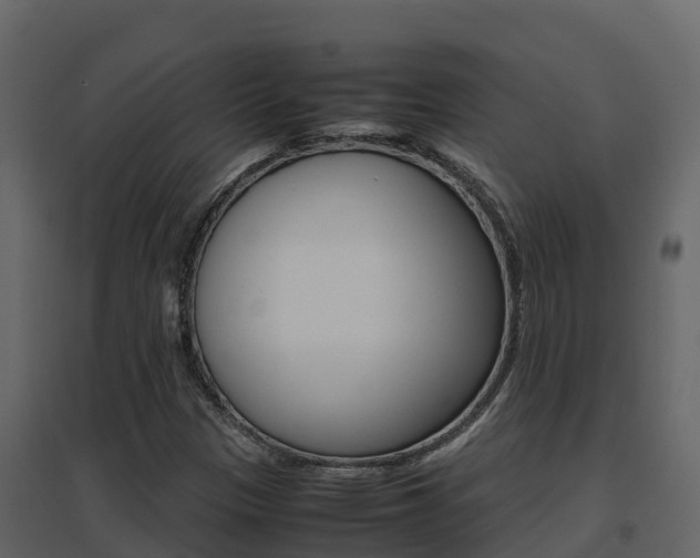 X0000096701305200802051052