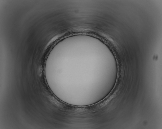 X0000096701306200802051052