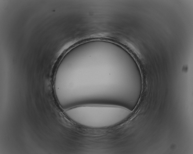 X0000096701308200802051052