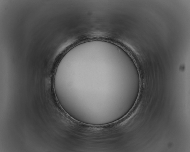 X0000096701309200802051052