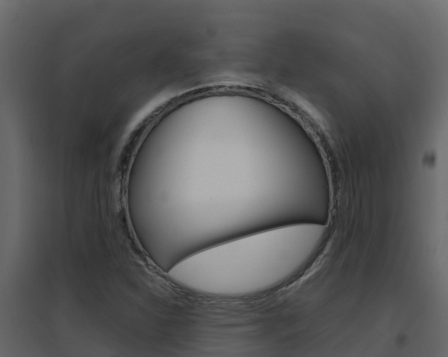 X0000096701310200802051052