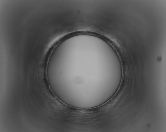 X0000096701311200802051052