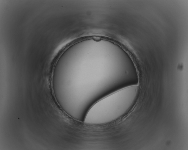 X0000096701312200802051052