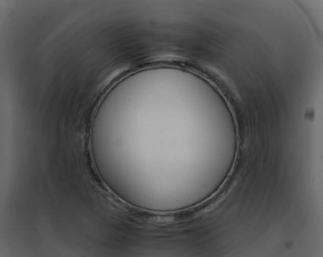X0000096701313200802051052
