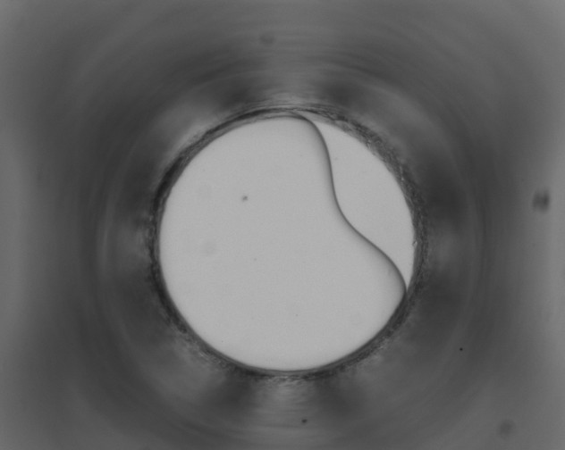 X0000096701314200802051052