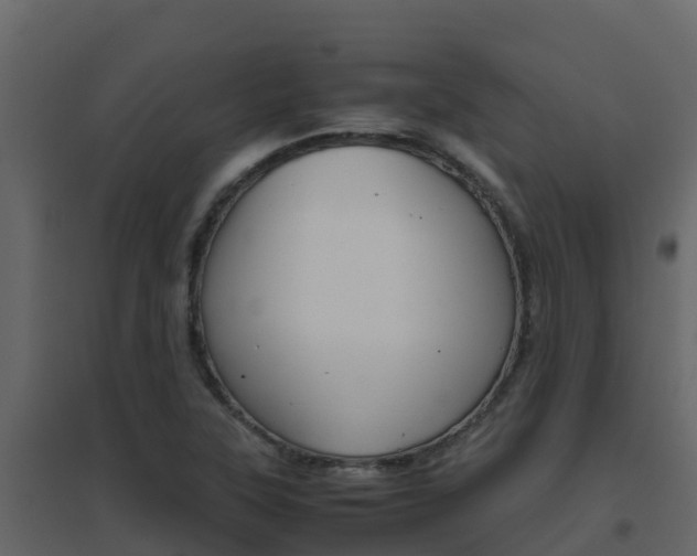 X0000096701315200802051052