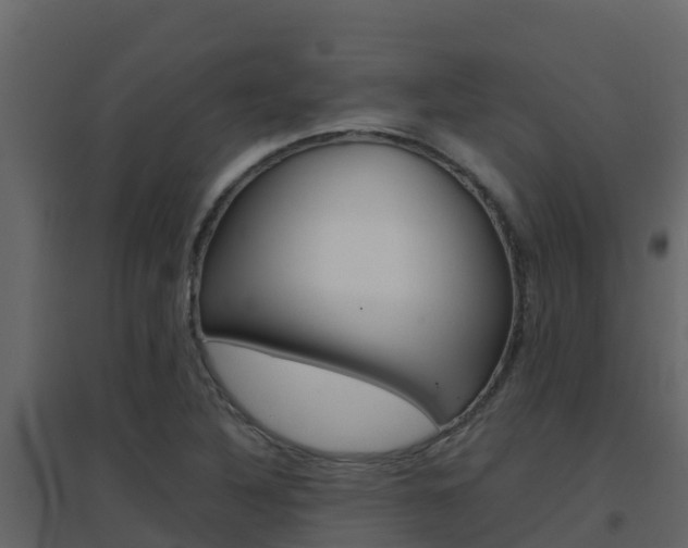 X0000096701316200802051052
