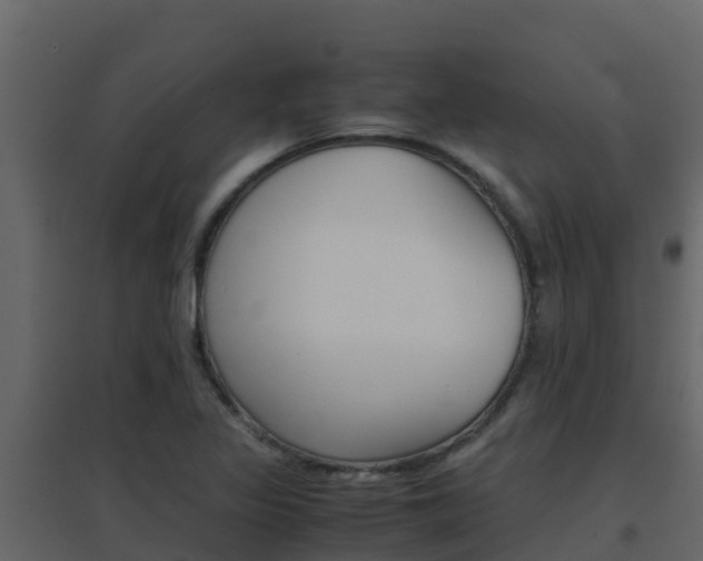 X0000096701317200802051052