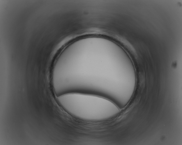 X0000096701318200802051052