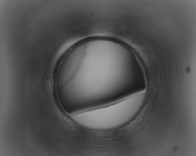 X0000096701319200802051052