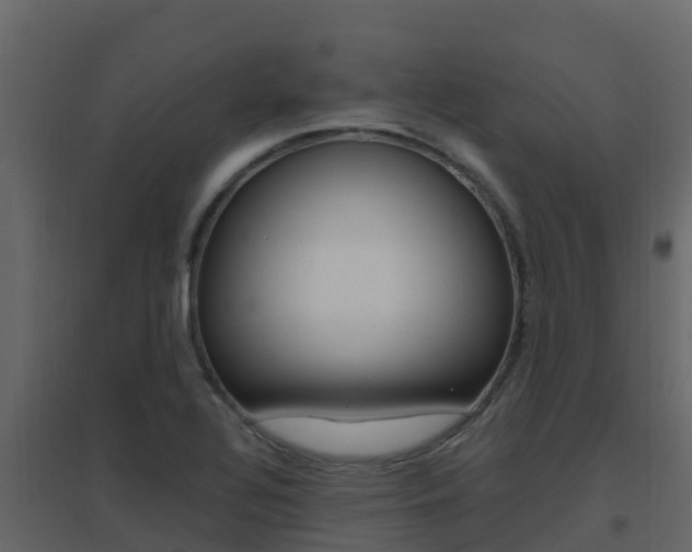 X0000096701320200802051052
