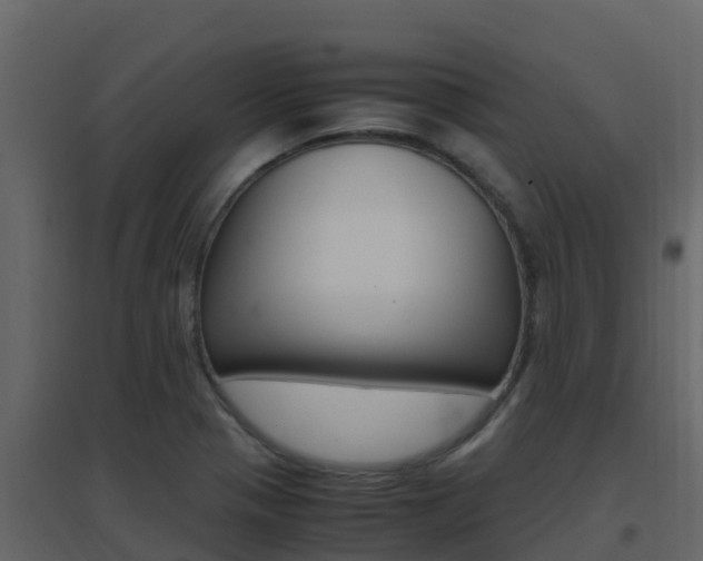 X0000096701321200802051052